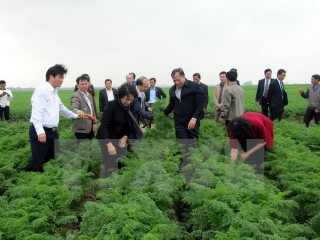 Chủ tịch Quốc hội Nguyễn Thị Kim Ngân thăm và làm việc tại huyện Cẩm Giàng, tỉnh Hải Dương